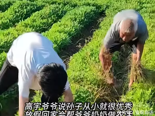 2026年高考国防科技大学录取分数线_寒门贵子高考逆袭 国防科技大学录取 质疑事件