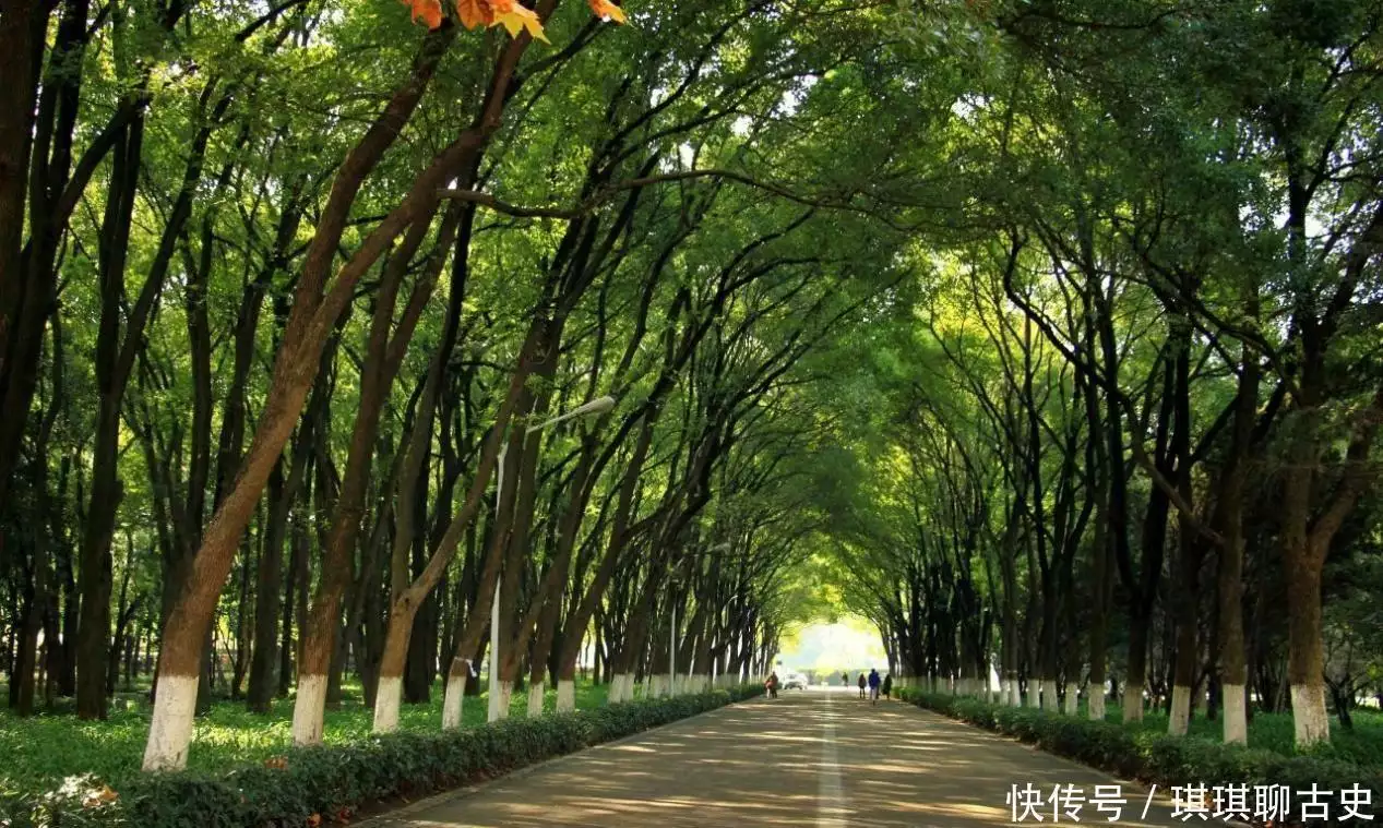 华中科技大学专业排名_湖北高等教育强省_华中科技大学学科实力