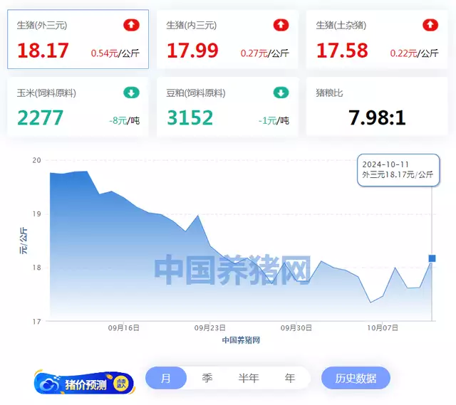 10月11日猪价：猛如虎！30地猪价一夜起飞！都说汪明荃不如赵雅芝漂亮，那是你没见她年轻时的风姿，国色天香