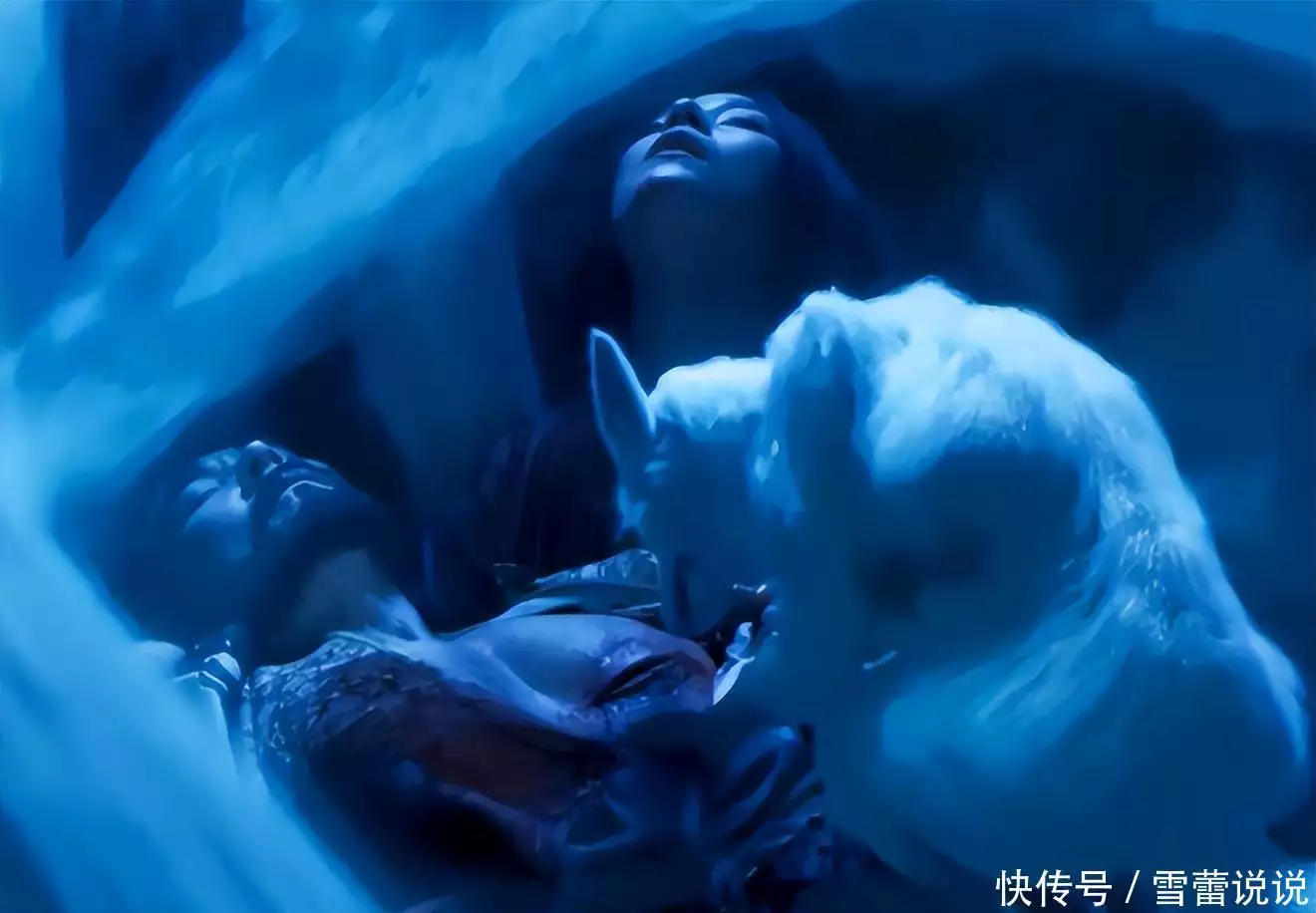这次真的要爆了！《封神2》预告曝光，特效炸裂或将问鼎影史第一曾泳醍：撞脸李小冉，曾是中戏的校花，如今出演《九重紫》无人识