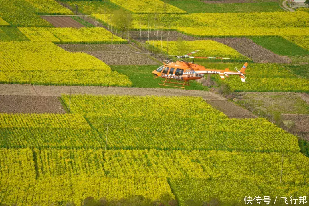 直升机即将亮相最美油菜花海，乘势而上助力低空经济腾飞