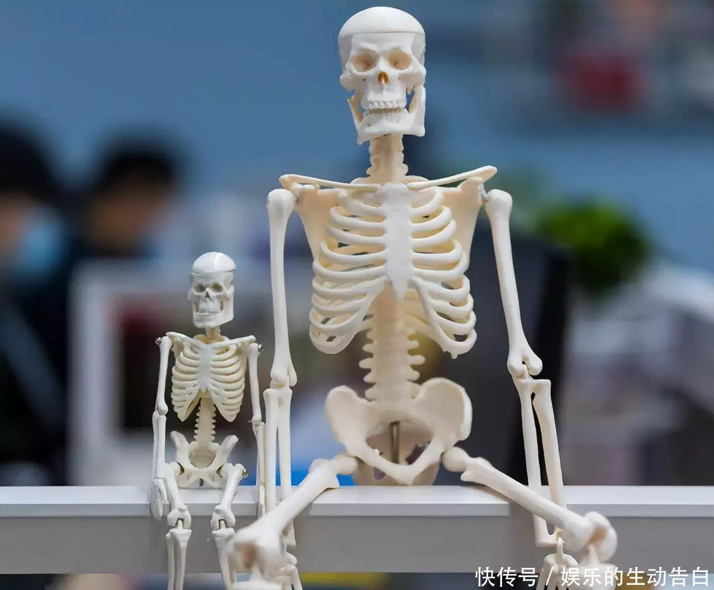 人体共有206块骨头，中国人却普遍有204块，另外两块去了哪里？