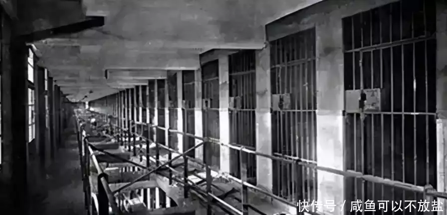 1930年，6名红军执法老队员在一面馆被害，20年后才知嫌疑犯是造假者小宝宝半夜醒来“爸爸你压着爸爸干什么”随后爸爸的回答，令人难忘(图3)