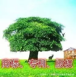 国际专利申请流程_申请专利的流程和费用_PCT专利申请指南