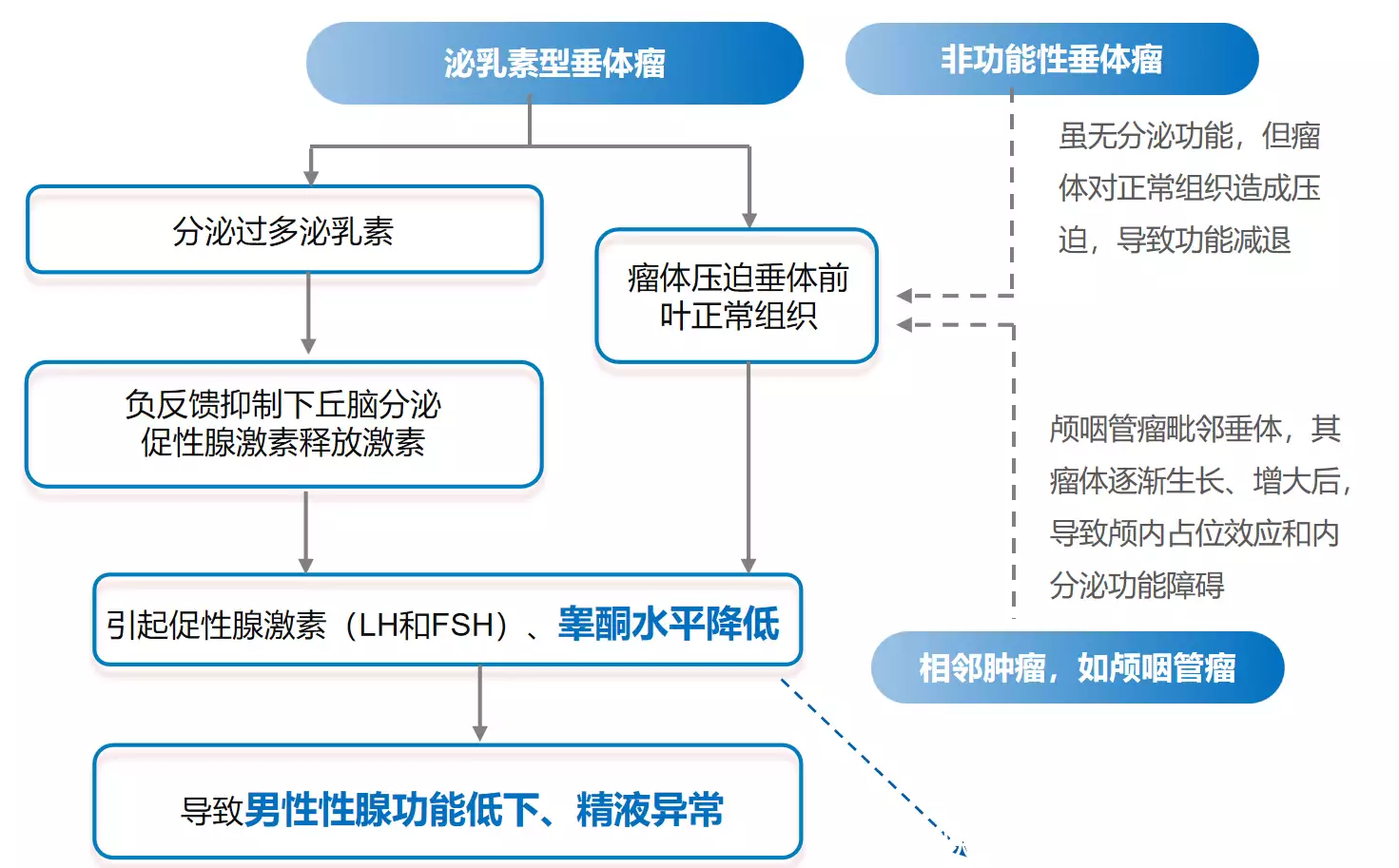 隐匿的杀手——垂体及相邻肿瘤导致的性腺功能减退症