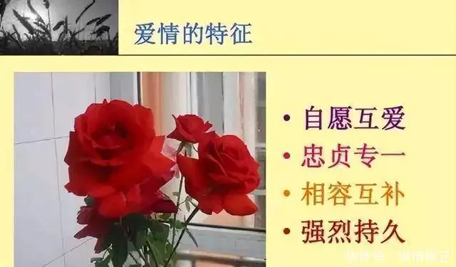 韩国明星夫妻,结婚7年首次同框综艺,公开了他们的爱情故事毛主席曾留下6大预言:当时没人信!今5个已应验,第6个正在实现 韩国明星夫妻,结婚7年首次同框综艺,公开了他们的爱情故事毛主席曾留下6大预言:当时没人信!今5个已应验,第6个正在实现
