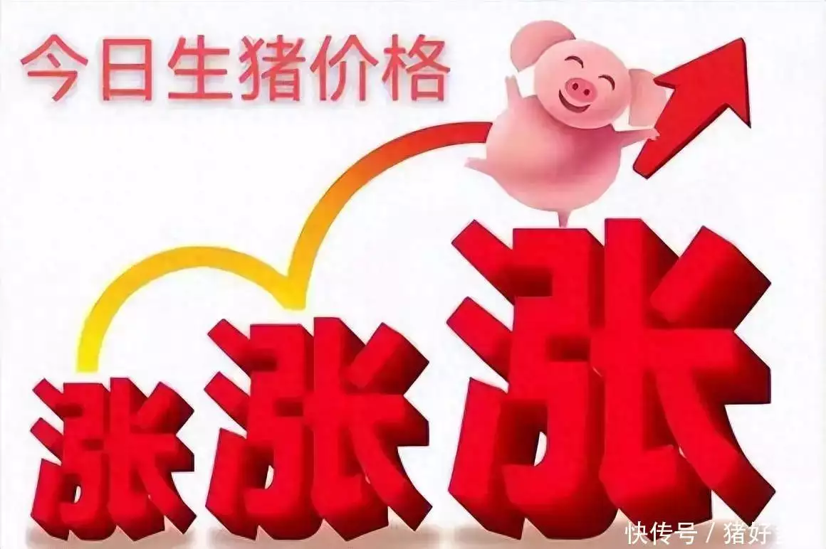 万万没想到（2021年2月4号生猪价格表）2月24日生猪价格走势，春节猪价不降反升！2月4日生猪价格连涨不断，明日涨势能否延续？毛主席见她就喊矮子矮子，她生气转身就走，却留下俩人俏皮故事，死神来了6电影完整免费，linear函数，