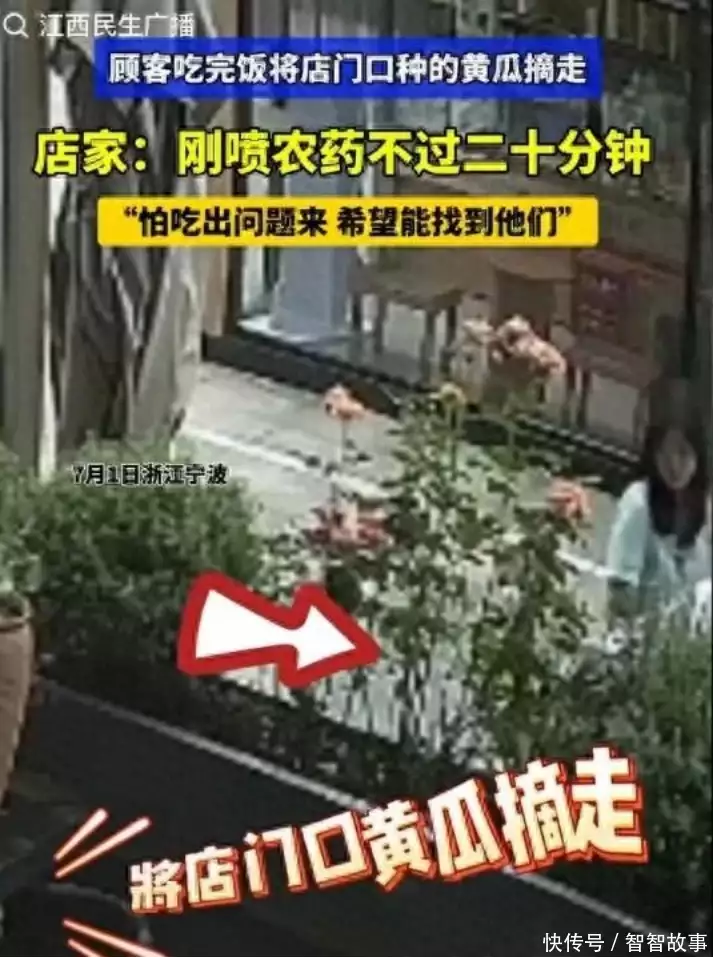 全网寻人	！美女用餐后“顺走”饭店一根黄瓜！店家�
：刚打完农药