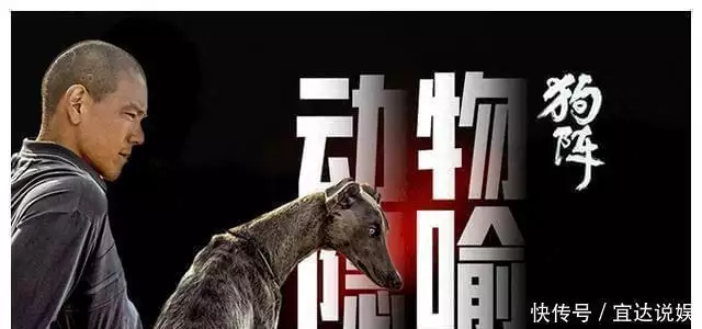 彭于晏台词最少的一部电影！说最少的话，演绎人与动物最好的共鸣黄奕看望英国留学女儿，黄芊玲抱着妈妈眼含泪光，11岁接近165cm