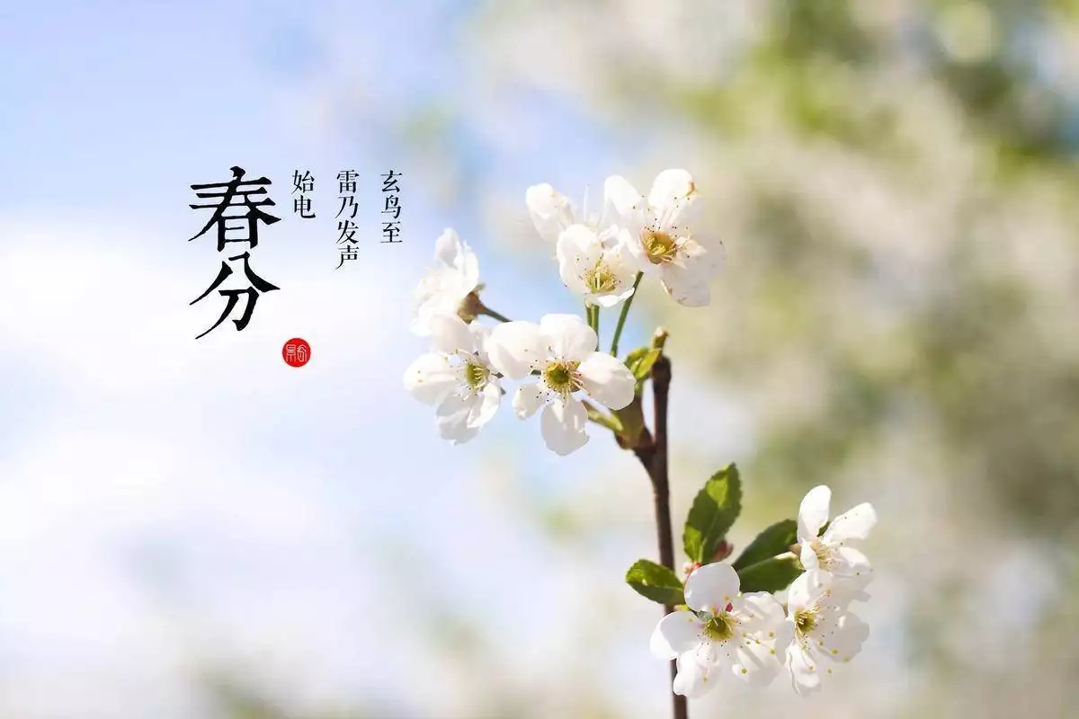 化大。春分（每年3月20日或21日）：昼夜几乎相等，春季进入全面生长期。清明（每年4月4日或5日）：