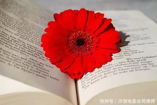 信息网络传播权例子（信