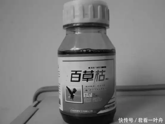 2018年,四川男孩喝百草枯,临终前想见妈妈一眼,结局如何?其实,在以下时刻男人不愿意帮你,就是假爱 2018年,四川男孩喝百草枯,临终前想见妈妈一眼,结局如何?其实,在以下时刻男人不愿意帮你,就是假爱