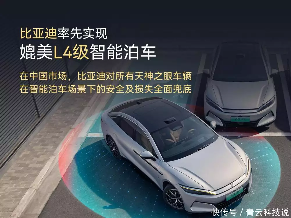 比亚迪2025年上半年财报_比亚迪营收利润创历史新高_比亚迪