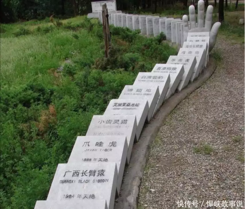 这种鸟已灭绝3次，科学家发现它又“复活”了，到底怎么回事？有种“痴情”叫李乃文，因一场吻戏与女演员传绯闻，40岁终获幸福