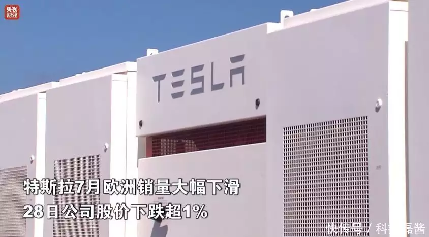 中国新能源汽车加速出海，比亚迪份额超特斯拉？
