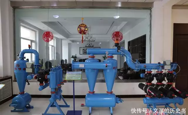 实打实为企业解难题办实事——古浪县优化营商环境助力企业高质量发展见闻传说中的第三只眼睛:喙头蜥高度发达的天眼,是雷达还是罗盘?(干货满满)
