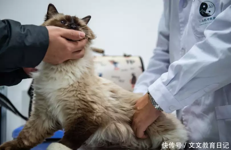 适合大学女生学的四大专业,“吸金”还自由,但对审美要求高乾隆微服私访,道士给他算了一卦,回去之后立刻传位给嘉庆 适合大学女生学的四大专业,“吸金”还自由,但对审美要求高乾隆微服私访,道士给他算了一卦,回去之后立刻传位给嘉庆