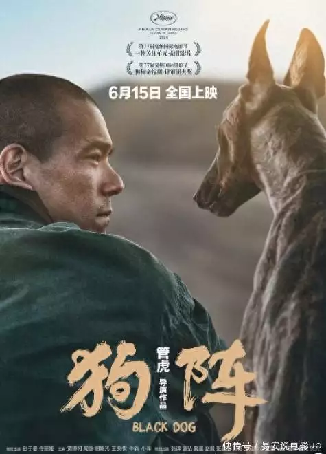 《狗阵》主创管虎、梁静、彭于晏接受环球时报采访：真诚的电影能穿透不同文化为何貌美的宫女出宫后，正值青春却没人敢娶？因为她们都会得怪病