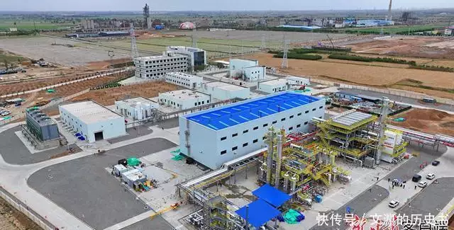 实打实为企业解难题办实事——古浪县优化营商环境助力企业高质量发展见闻传说中的第三只眼睛:喙头蜥高度发达的天眼,是雷达还是罗盘?(干货满满)