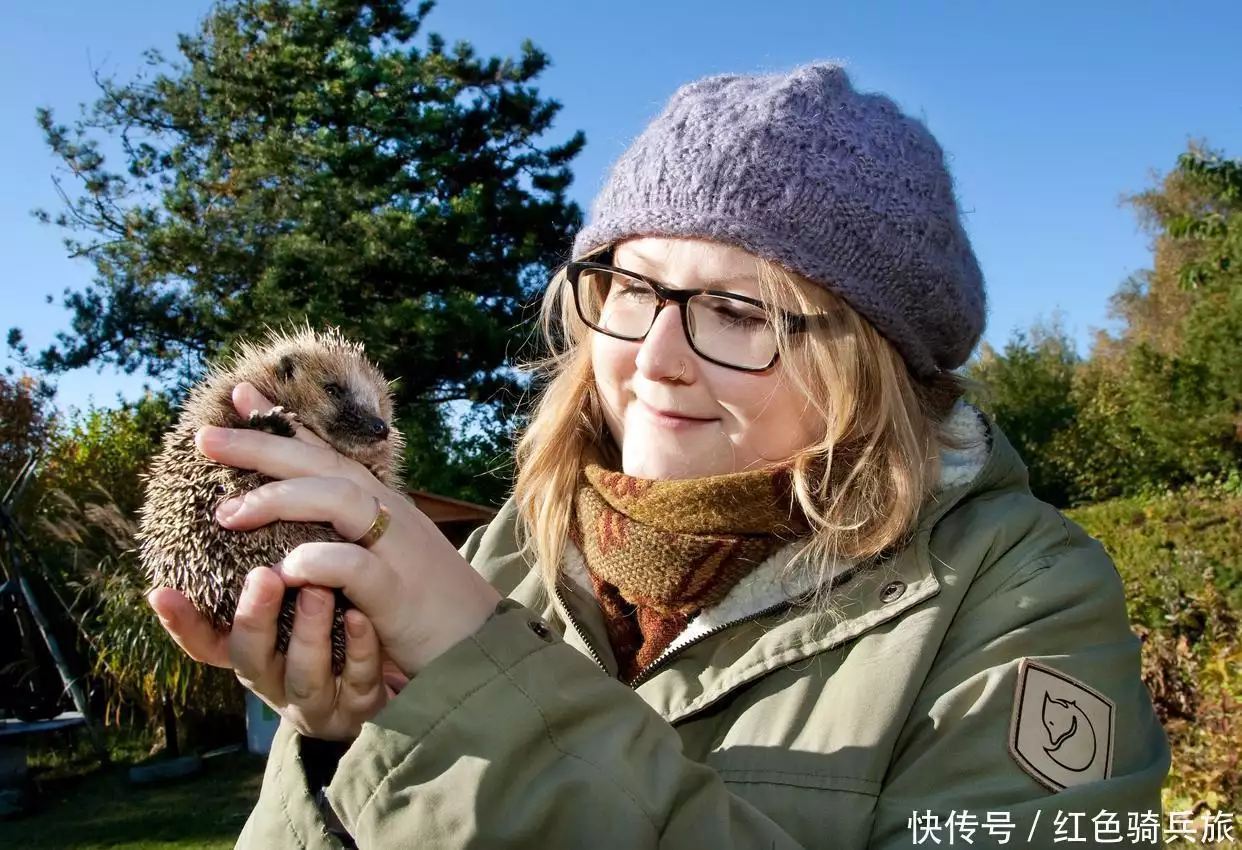 科学家发现最年长的欧洲刺猬,16岁的它为何对刺猬保护至关重要?中国航天开门红,实践二十五号卫星带着两个机械臂,又领先美国 科学家发现最年长的欧洲刺猬,16岁的它为何对刺猬保护至关重要?中国航天开门红,实践二十五号卫星带着两个机械臂,又领先美国
