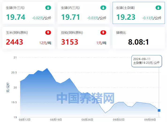 09月11日猪价：大跳水！生猪价格“跌麻了”！明末农民军猛将王得仁的悲怆而无奈的人生：反复易主但视死如归 第8张