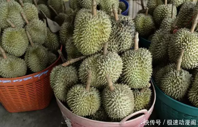 学会了吗（吃不完的榴莲如何存放）吃不完的榴莲做什么吃，吃不完的榴莲怎么保存太平天国唯一留下姓名的女将：丈夫惨死后，率500会众将仇家灭门，林宥嘉回应邓紫棋分手的歌，剪压比超限如何调整，