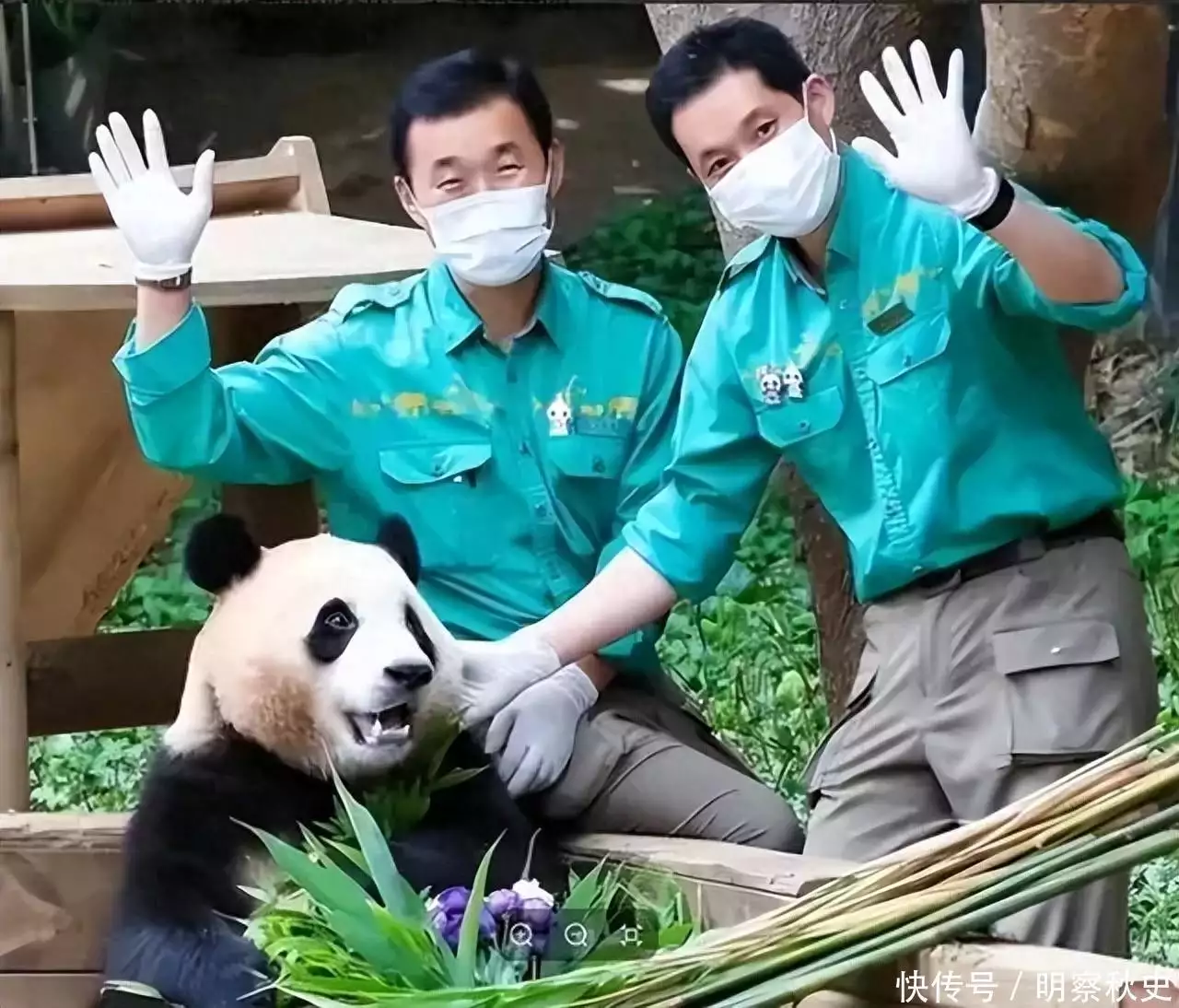 大熊猫福宝没认出韩国饲养员,韩国人破防尖叫:都是中国人害的谁帮美国打赢独立战争?看完才知:除了工人、黑奴,居然还有女人 大熊猫福宝没认出韩国饲养员,韩国人破防尖叫:都是中国人害的谁帮美国打赢独立战争?看完才知:除了工人、黑奴,居然还有女人