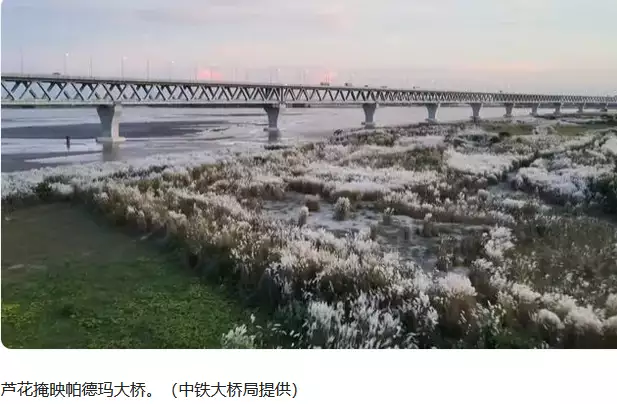 又赚到了！孟加拉国到处夸耀中国给建的桥：开通当天通行费破千万小宝宝夜里醒来“爸爸你压着爸爸干什么”随后爸爸的回答，令人难忘(图6)