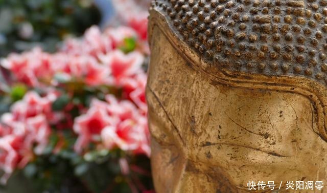 人生不顺时,记住这两句话,福报不请自来!