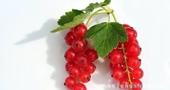 如果爱|9种孕期不能吃的食物,可大多孕妈吃过不下5种,你中招了吗?