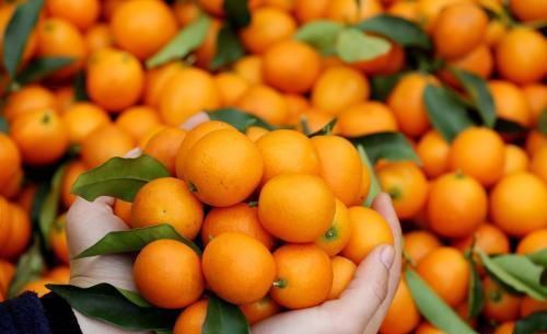 人到中年想长寿，不要错过的食物，排毒清肠，降压减脂，滋养身心