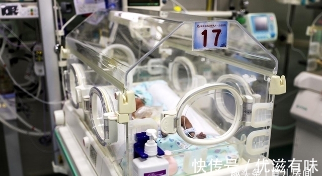 髋骨|同样是哺乳动物,为什么只有人类,生孩子会疼得撕心裂肺?