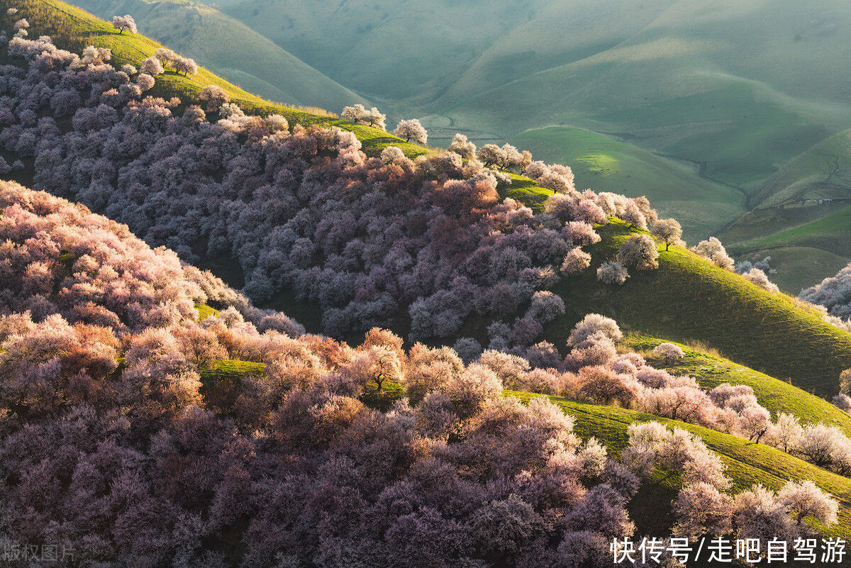 四月最佳旅行地榜单，这10个地方藏着中国最美的春天