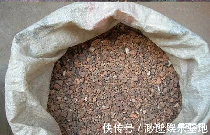 土壤|小摊贩废弃的煤渣,没想到是种多肉的绝佳利器,但你要适当处理