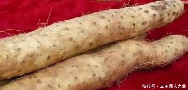 良心菜贩子的建议:要买到好山药,这3种不要碰,千万别浪费钱