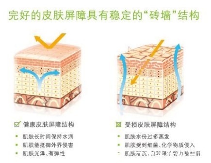 痘印|“零差评”的5款网红护肤品,控油祛痘超级好用,回购率超级高
