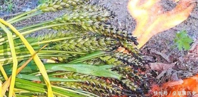 体会|农村小孩的“5大烧烤”,00后再体会不到那种乐趣,你干过几种?