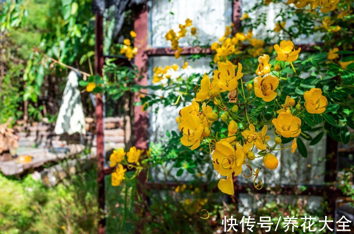 本来有个一楼院子，后来因养花换成天台，真是后悔