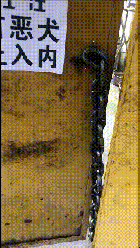 |搞笑GIF：我问女神爱不爱我 结果她发过来一张图