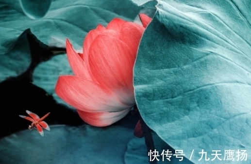 阴阳互根|10月下旬,4属相遇贵人喜进门,桃花旺盛,财源广进,生活顺心