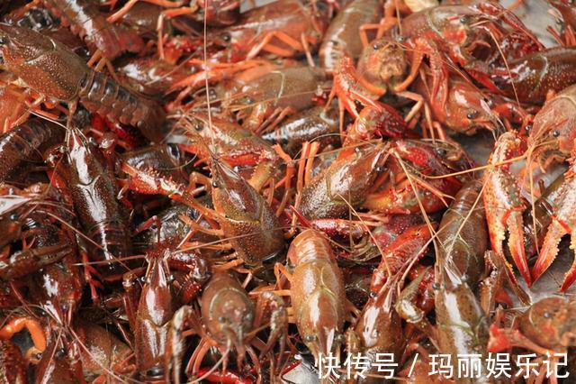 食材|这4种食材寄生虫很多，你可能经常吃，为了家人健康，不妨看一看