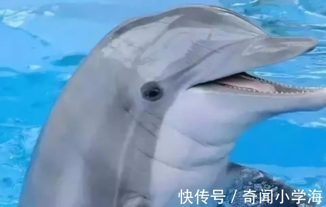 24个冷知识：生物老师看完直呼不可思议，但却真实存在的有趣知识。