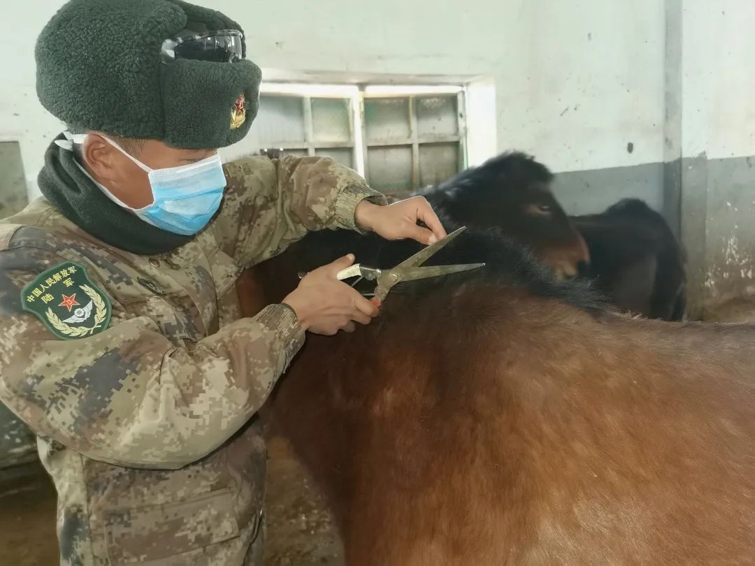 人来自|-38℃，骑马的兵哥哥真帅！