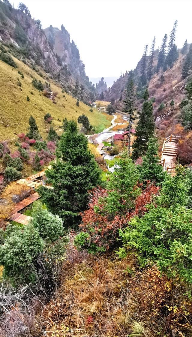 高原|这个地方被称为松潘高原，是西北高原的绿洲、扎营卢加草原、秀美牛羊成群的