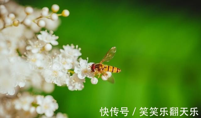 皮肤的秘密$读《皮肤的秘密》一书,分享我们皮肤气味的作用!