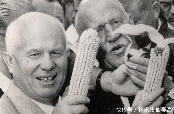 种植|从3%到1/6，赫鲁晓夫疯狂推广玉米种植，却加重了苏联的饥荒