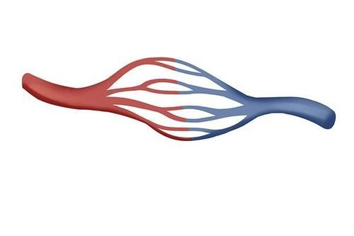 成功戒烟之后，身体上会得到哪些好处？了解之后可能你也会戒烟