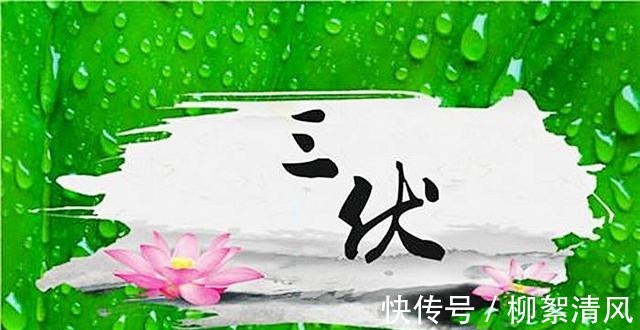 解馋|三伏烙饼摊鸡蛋，5种烙饼各有特色，做法有窍门，你看哪种最解馋！