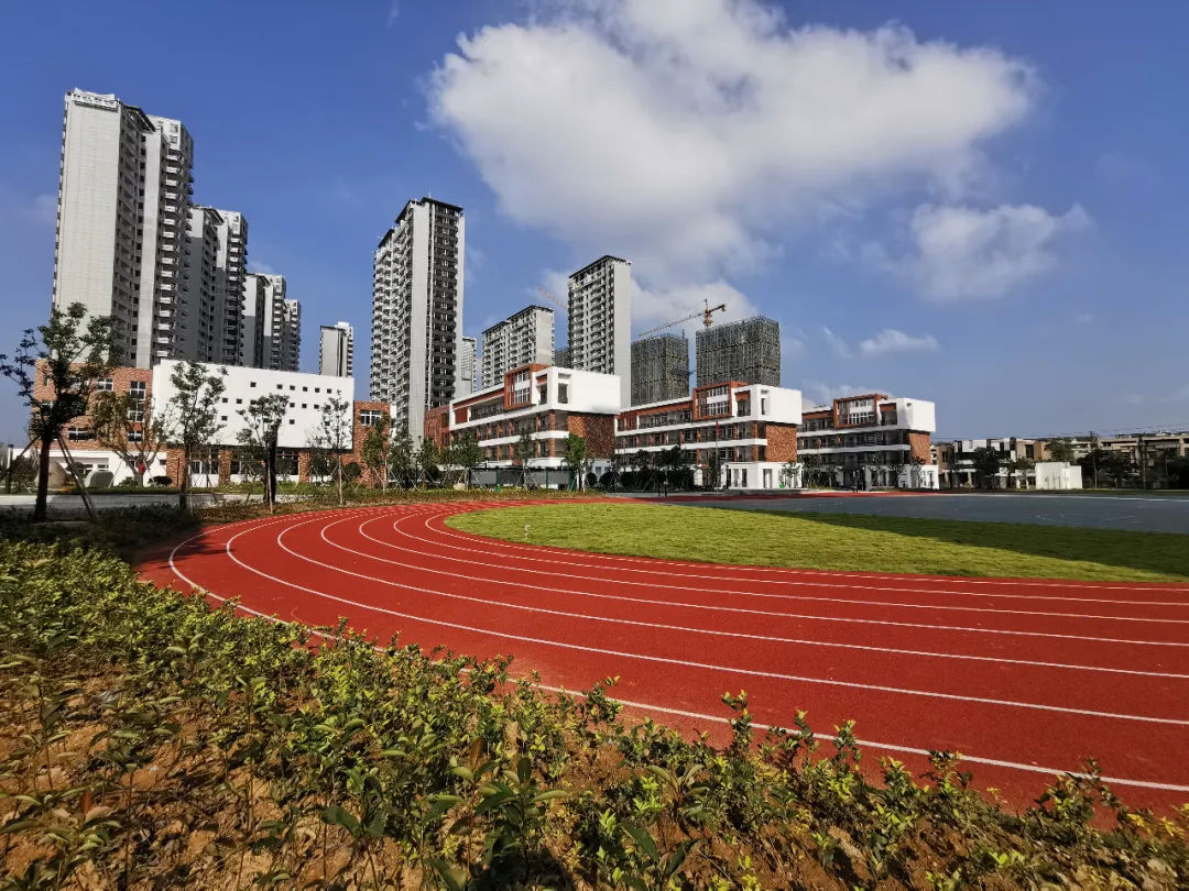 建县|苍南建县40周年丨40年时光机里的教育之变 从“有学上”到“上好学”