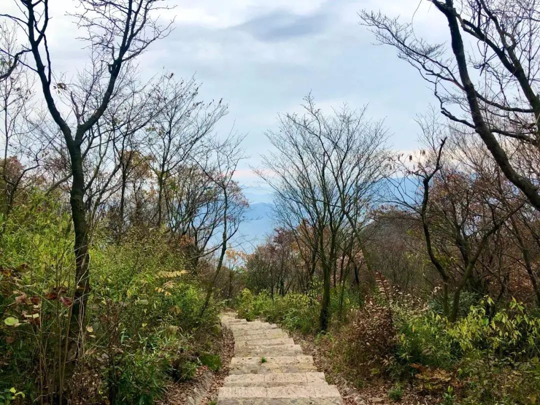 线路|登山好时节！余杭鸬鸟这些登山线路风景超美，赶快安排！